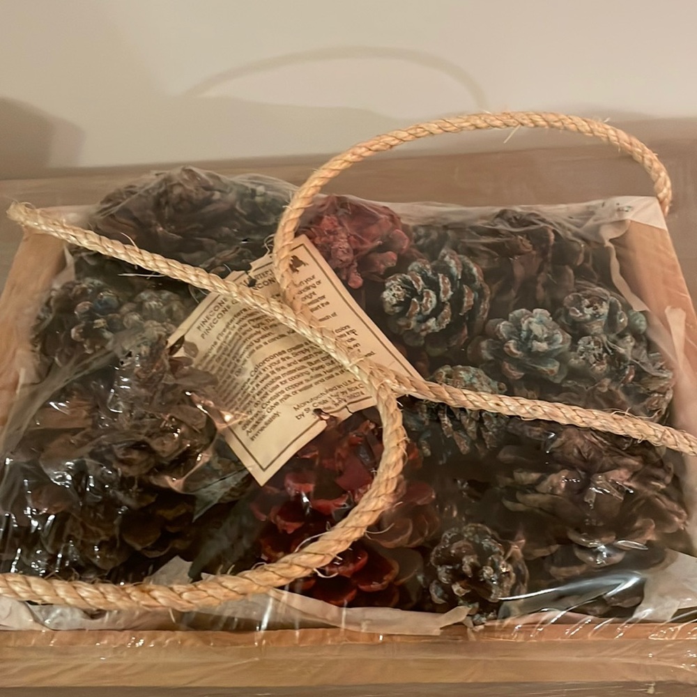 Pinecone fire starters